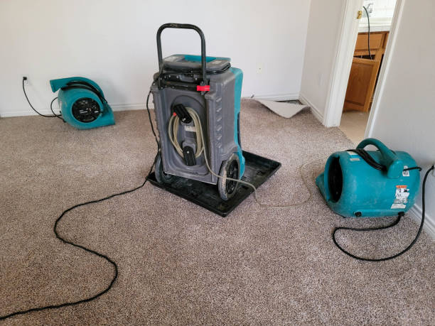 Best Professional water damage repair  in Boulder, CO