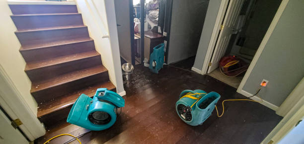 Best Flooded house restoration  in Boulder, CO