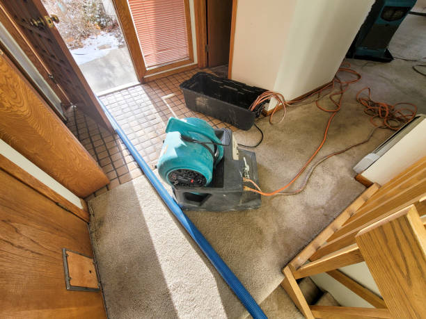 Best Commercial water damage restoration  in Boulder, CO