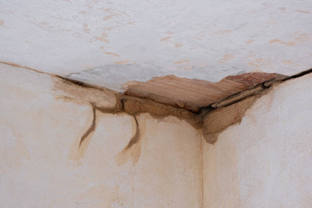 Best 24-hour water damage restoration  in Boulder, CO