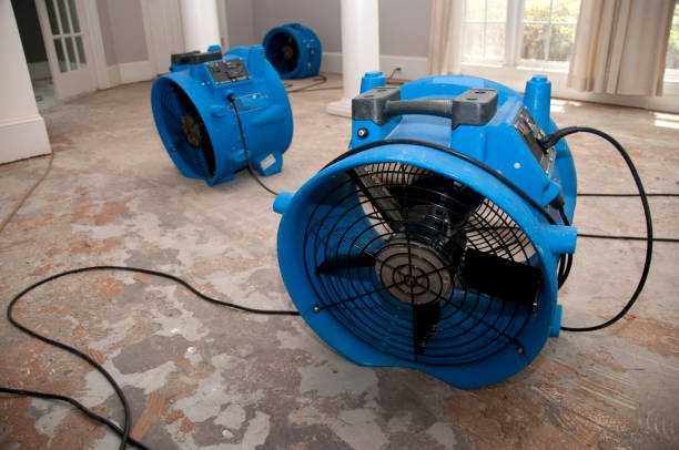 Best Fire Damage Restoration  in Boulder, CO