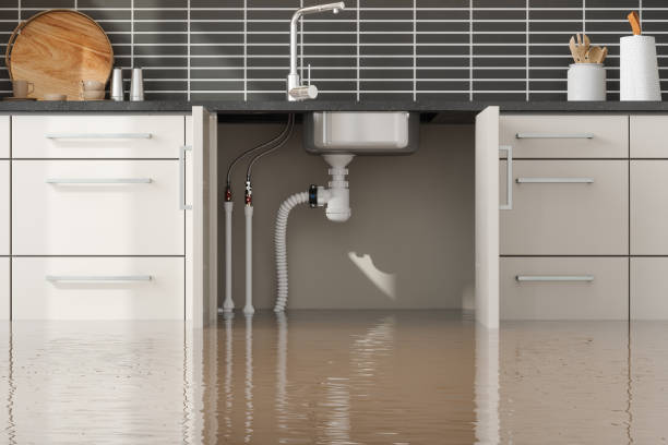 Best Residential water damage restoration  in Boulder, CO